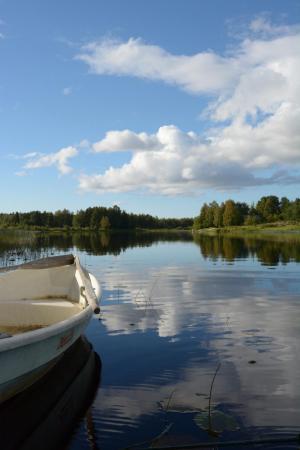 Kuva jokisuulta.