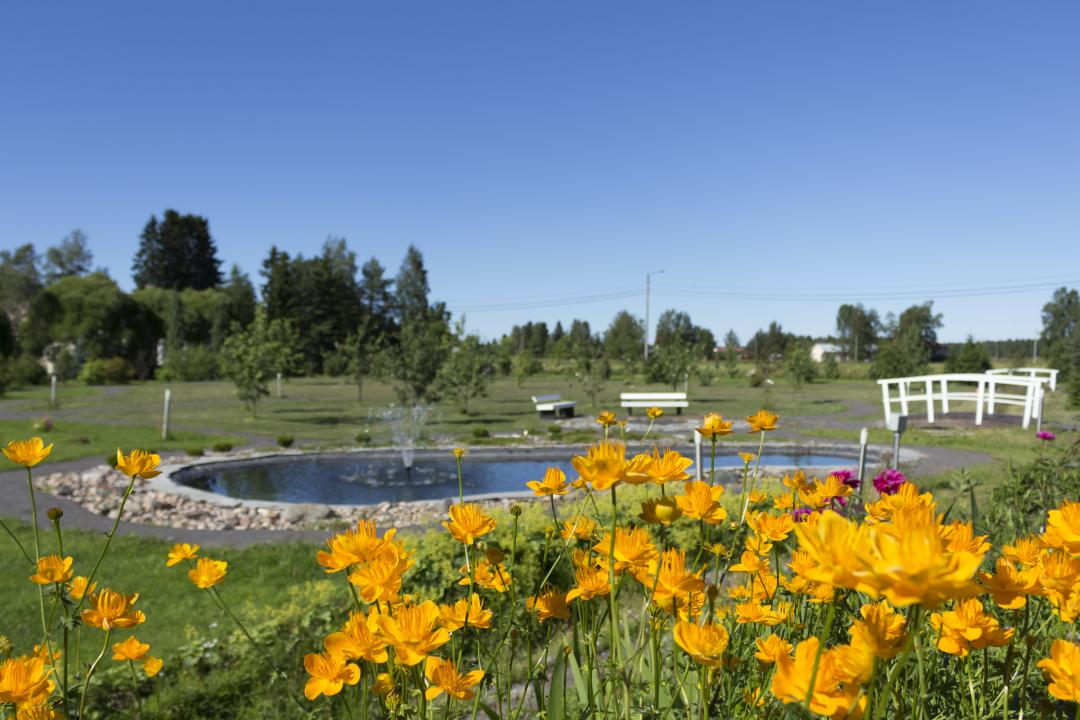 Parhalahden arboretum.