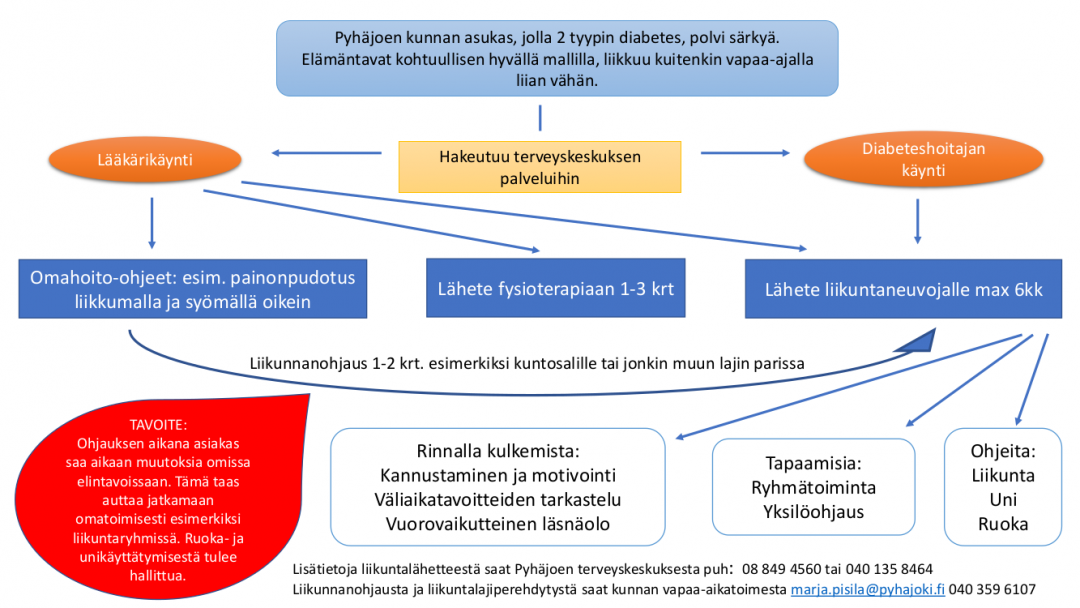 Liikuntalähete-palvelupolun kaavio