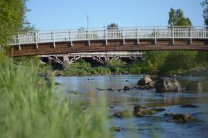 kielosaari
