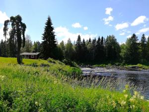 jokimaisema