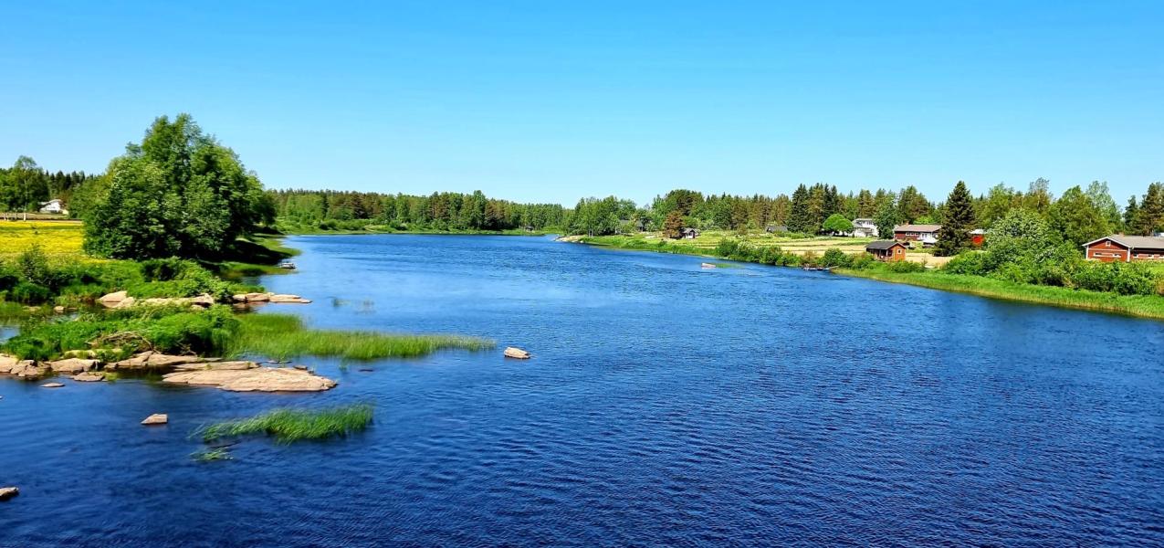 joki ja kesä