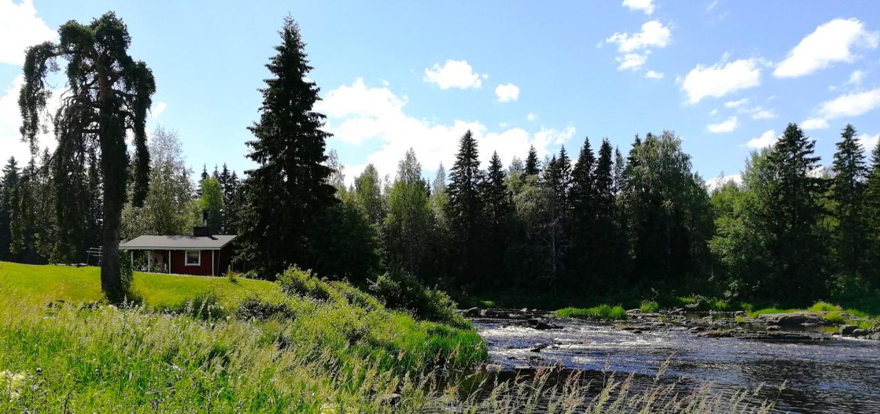 jokimaisema