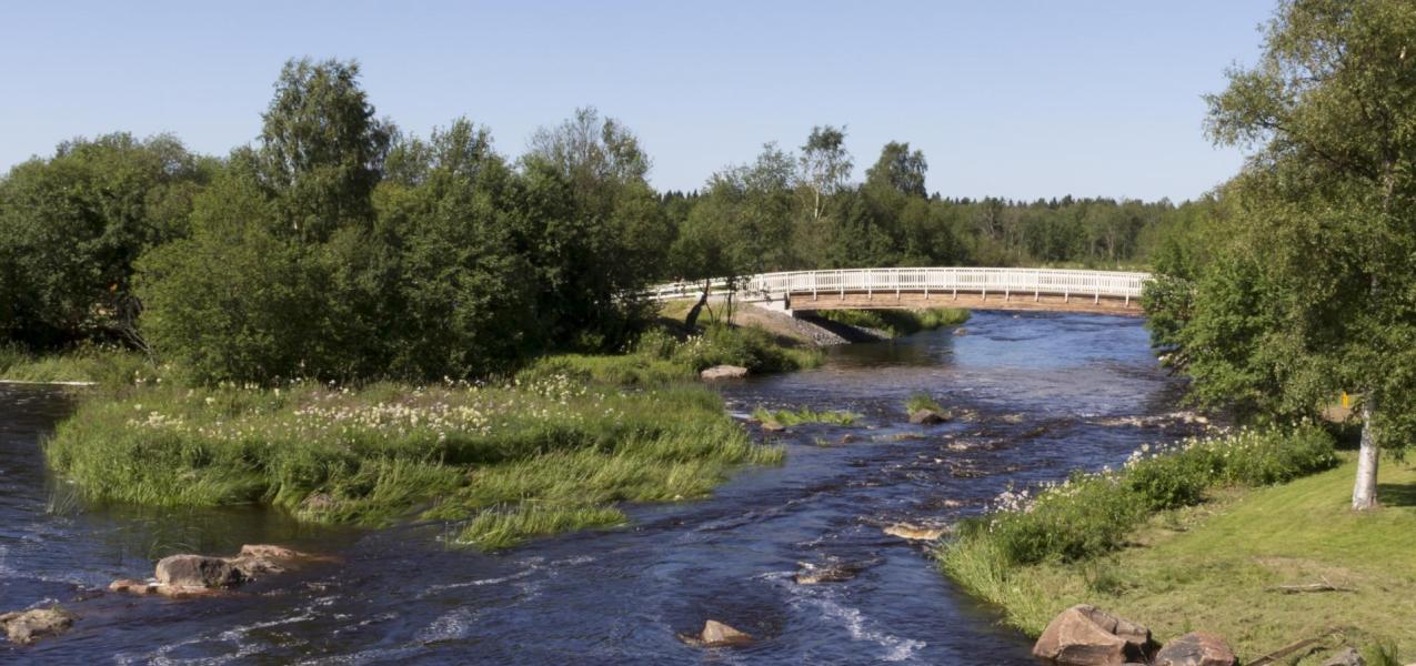 kielosaarensilta