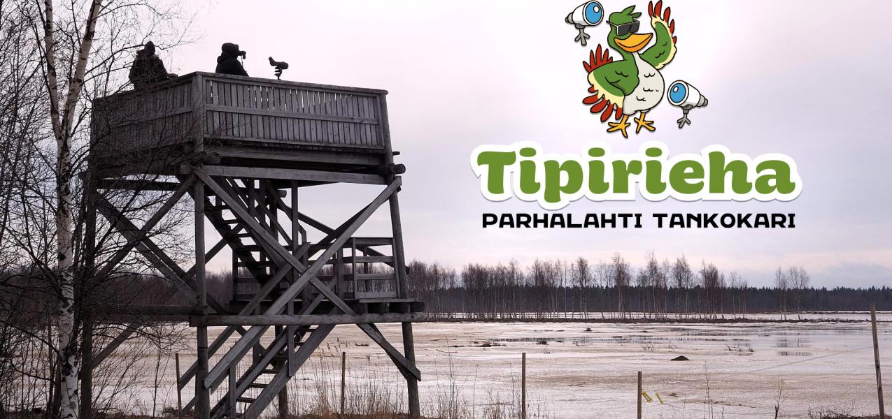 parhalahti