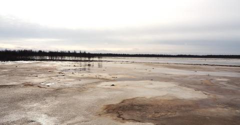 Näkymä Tankokarin lintutornista Parhalahdelta