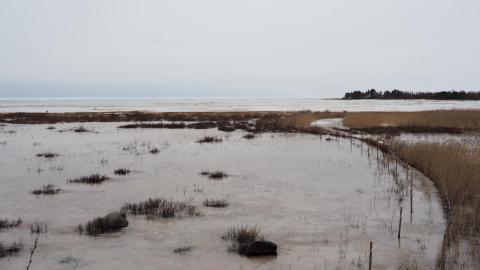 Näkymä Veteraanimajan lintutornista