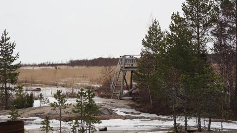 Lintutorni Veteraanimajan rannassa