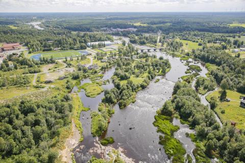 jokimaisema