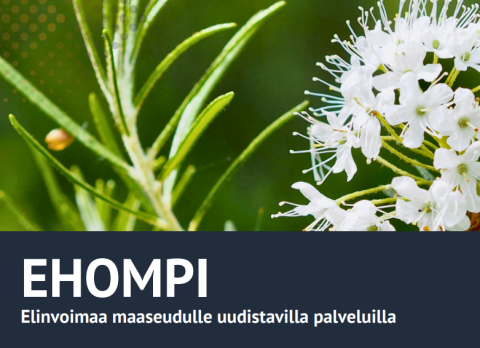Ehompi tilaisuus kuva