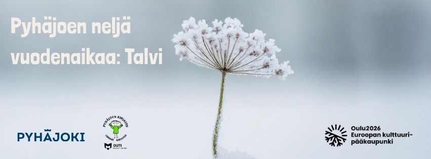Kuvassa talventörröttäjä.
