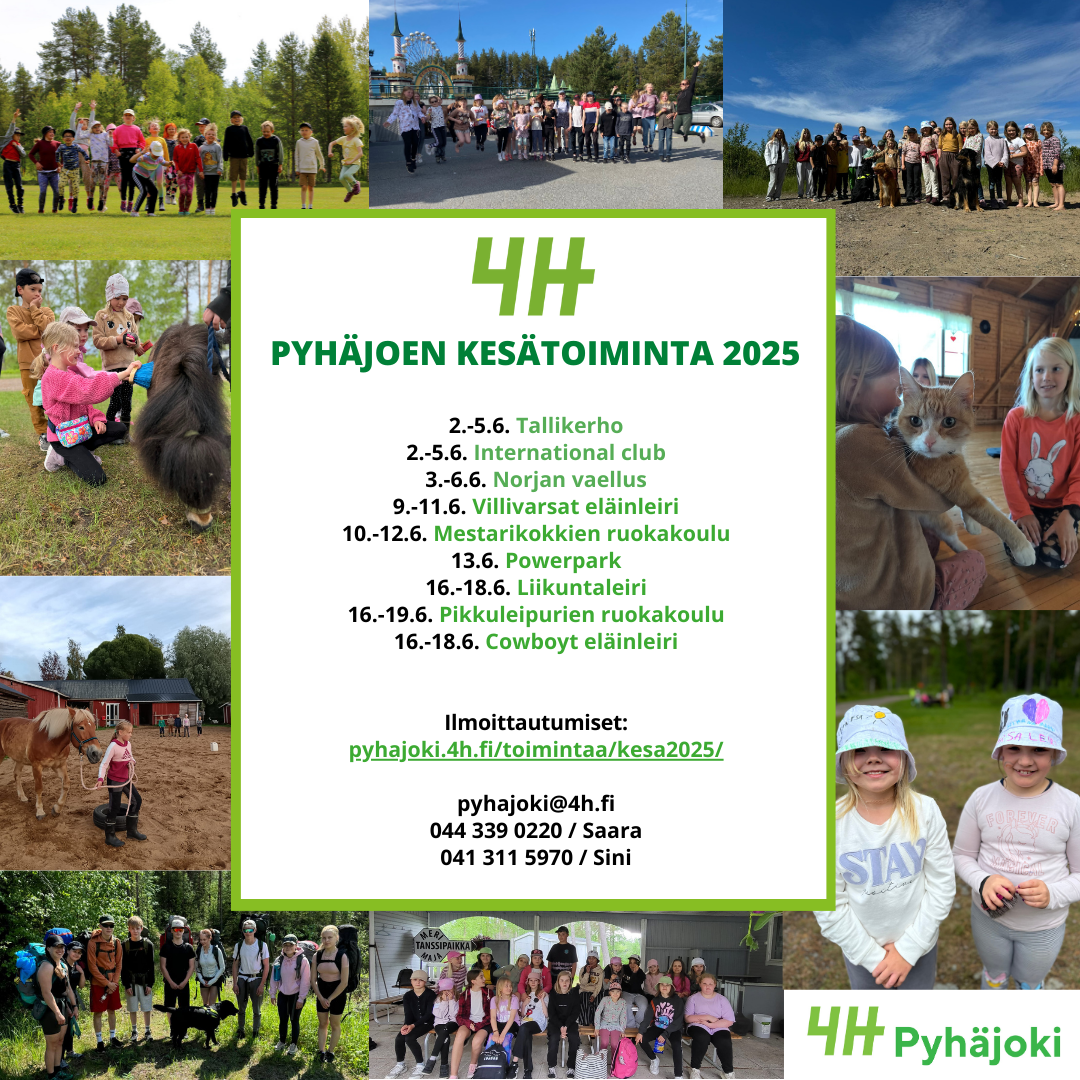 4H-Kesä täynnä toimintaa!